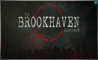 Аренда Brookhaven Experiment для PS4