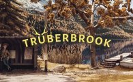 Аренда Truberbrook для PS4
